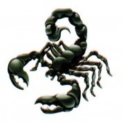 Виниловая наклейка Скорпион черный GRC 5915 полноцветная 2 шт